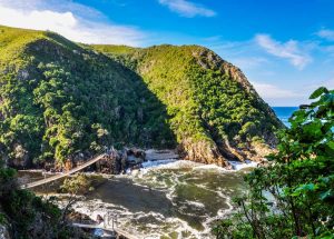 c91671b9 tsitsikamma national park 1200x858 1