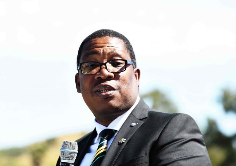 3e6887ee lesufi