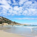 7cdded43 blue flag beach south africa 1200x858 1
