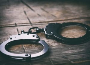 dd65e47b hawks arrests 1