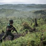 drc rangers