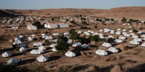 tigray 1