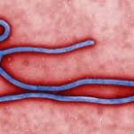 ebola 1