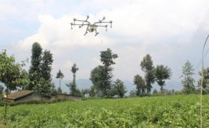 drone