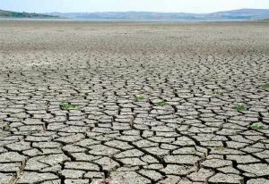 drought