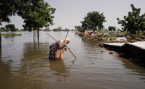 Flood Water