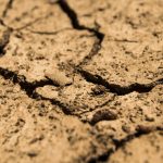 Dry