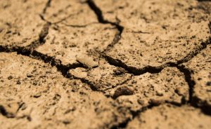 Dry