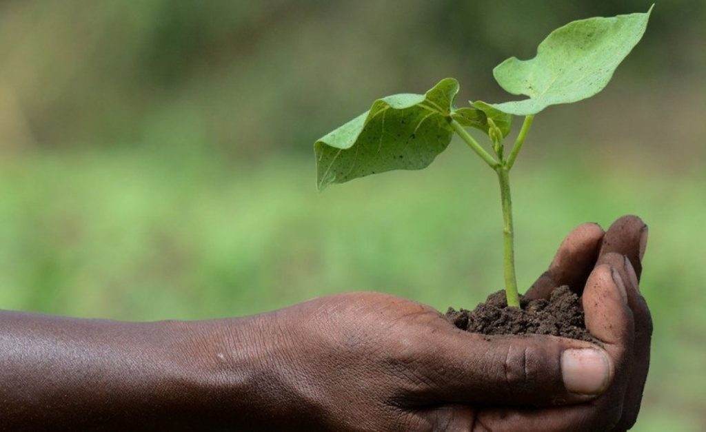 00671020 d2f9a5e914dad480ff6bf6cc10bba082 arc614x376 w1248 us1