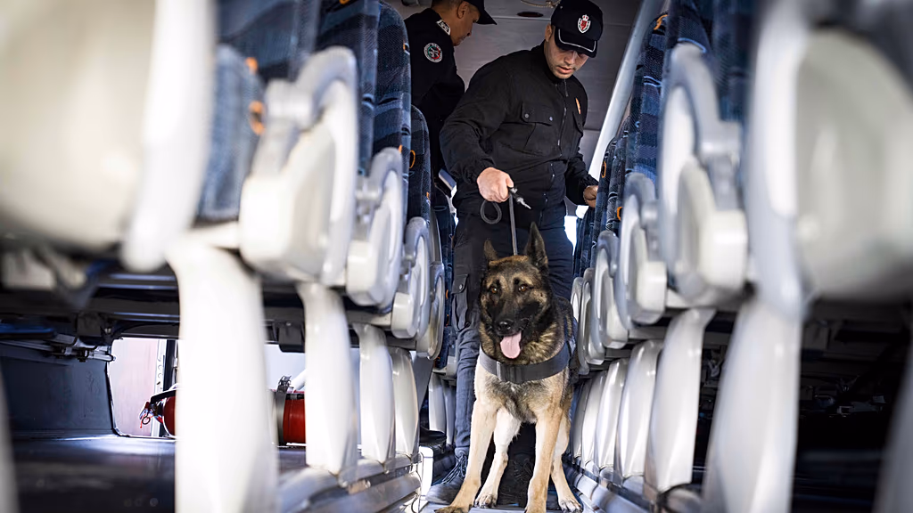 1024x576 cmsv2 33788641 1c5c 5c08 b90b 8977951bcea1 9626486