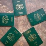 Lesotho Passport