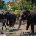 Thai zoo