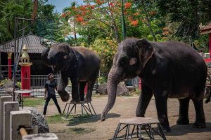 Thai zoo