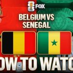 belgium vs senegal