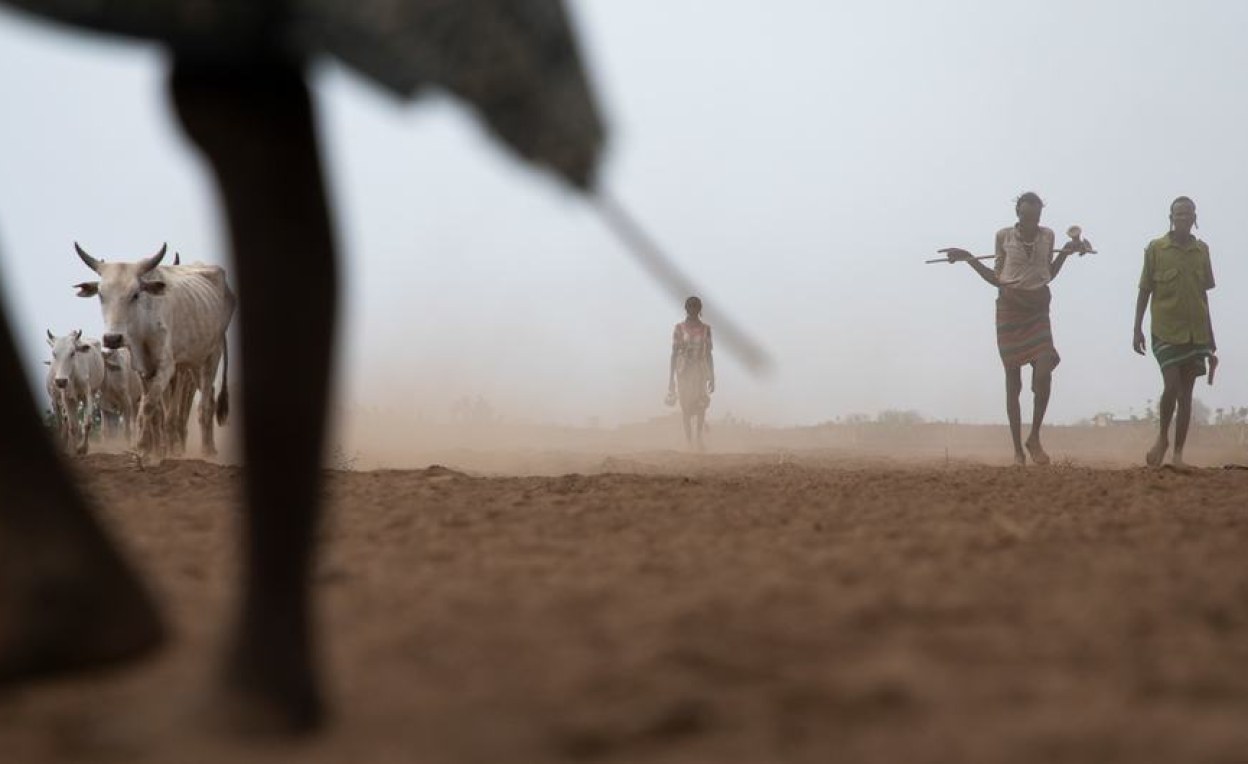 Amhara