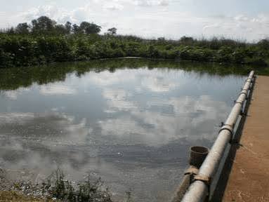 Chegutu Dam